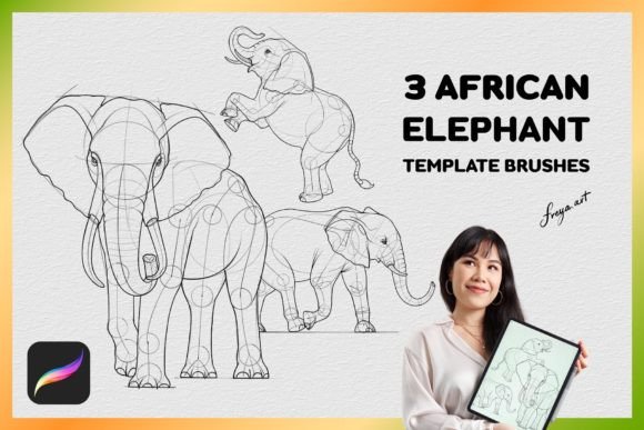 Procreate African Elephant Stamp Guide
