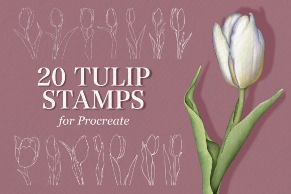 Tulip Stamps for Procreate: Spring Patterns Made Easy